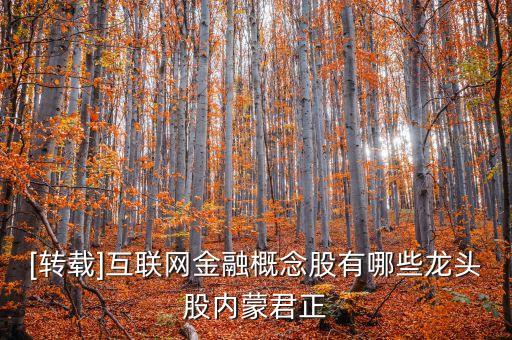 [轉載]互聯(lián)網(wǎng)金融概念股有哪些龍頭股內蒙君正