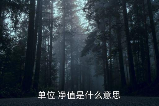 單位 凈值是什么意思