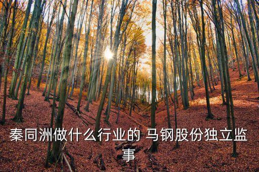 馬鋼公司副總名單公布