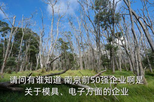 請問有誰知道 南京前50強企業(yè)啊是關(guān)于模具、電子方面的企業(yè)