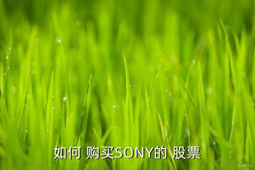 如何 購買SONY的 股票