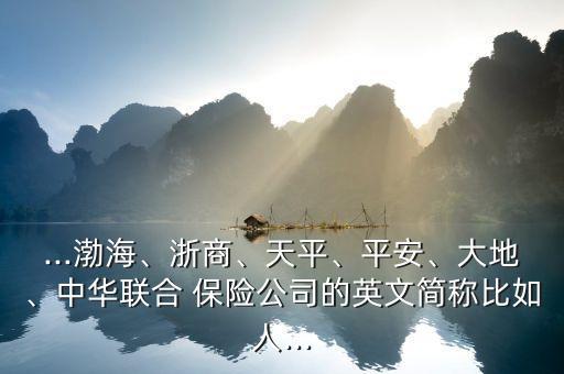 ...渤海、浙商、天平、平安、大地、中華聯(lián)合 保險(xiǎn)公司的英文簡(jiǎn)稱(chēng)比如人...