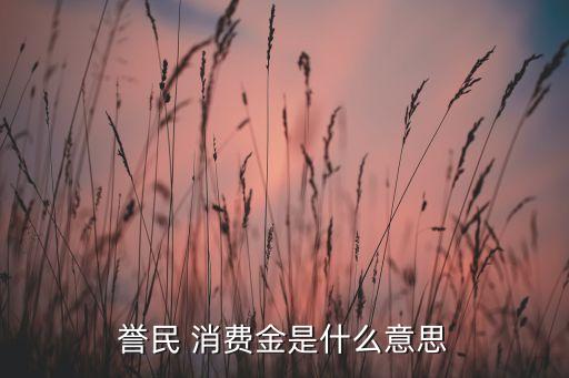 譽民 消費金是什么意思