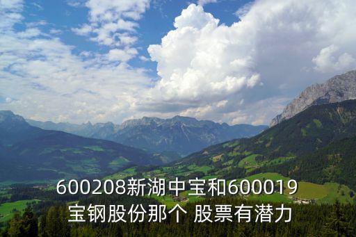 600208新湖中寶和600019 寶鋼股份那個(gè) 股票有潛力