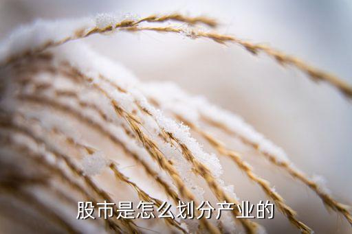 股票行業(yè)分類方法,怎么把股票按行業(yè)分類