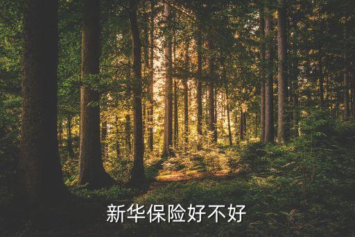 保險(xiǎn)公司聲譽(yù)