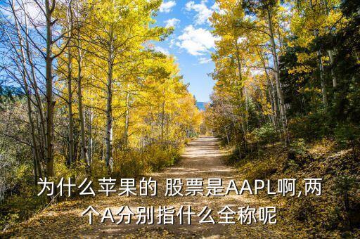 為什么蘋果的 股票是AAPL啊,兩個(gè)A分別指什么全稱呢