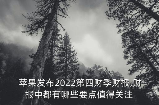 深圳第四個蘋果控股投資