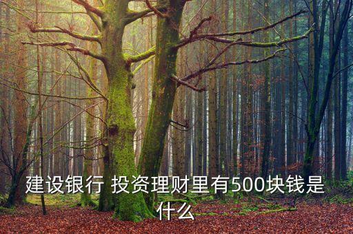 建設(shè)銀行 投資理財(cái)里有500塊錢(qián)是什么