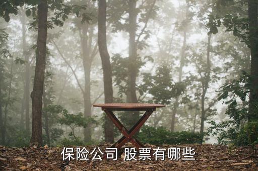 保險(xiǎn)公司 股票有哪些