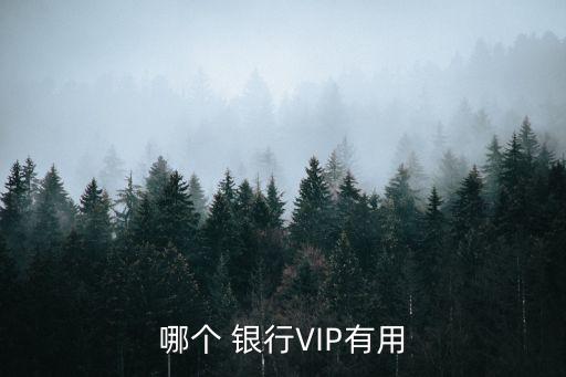 哪個 銀行VIP有用