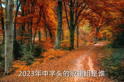 2023年中字頭的股重組是誰