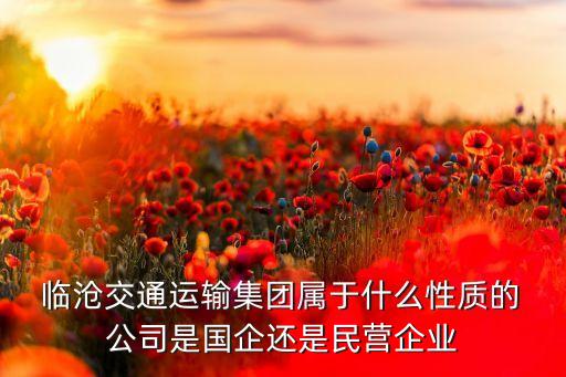  臨滄交通運輸集團屬于什么性質的 公司是國企還是民營企業(yè)