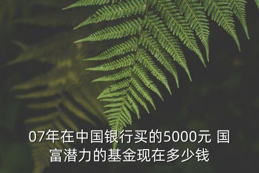 07年在中國(guó)銀行買的5000元 國(guó)富潛力的基金現(xiàn)在多少錢