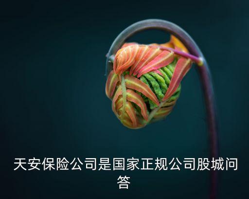 天安保險(xiǎn)股票