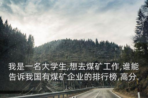 我是一名大學生,想去煤礦工作,誰能告訴我國有煤礦企業(yè)的排行榜,高分...