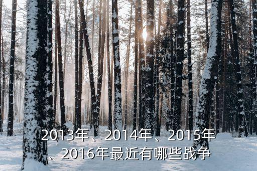 2013年、2014年、2015年、2016年最近有哪些戰(zhàn)爭