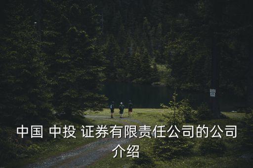 中國 中投 證券有限責(zé)任公司的公司介紹