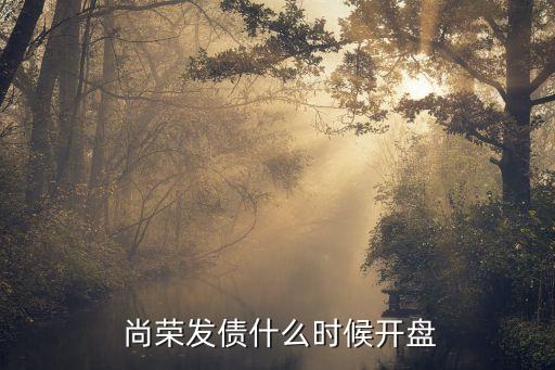  尚榮發(fā)債什么時候開盤