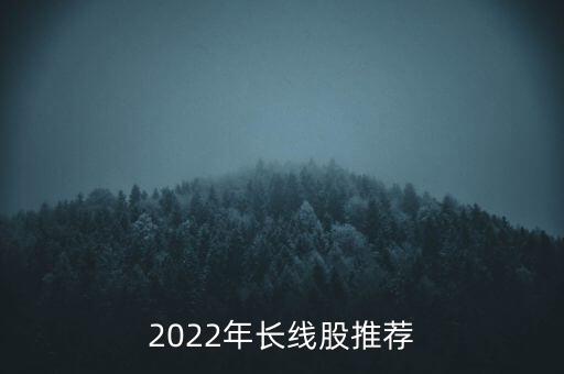 2022年長(zhǎng)線股推薦