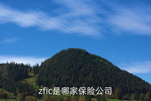 zfic是哪家保險公司