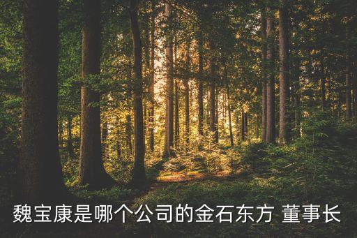 上海星鯊董事長(zhǎng),星鯊集團(tuán)歷屆董事長(zhǎng)