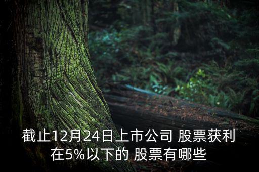 截止12月24日上市公司 股票獲利在5%以下的 股票有哪些