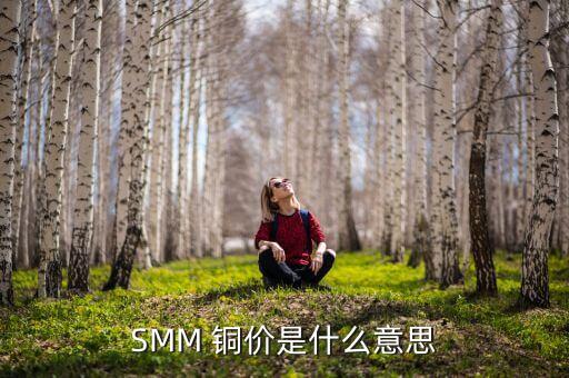 SMM 銅價是什么意思