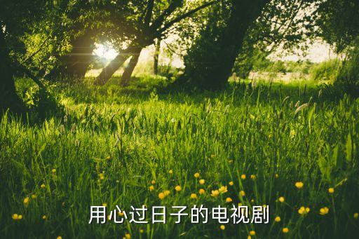 深圳廣電集團(tuán)深廣傳媒有限公司,重慶市廣電集團(tuán)(總臺)傳媒有限公司