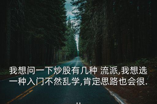 我想問一下炒股有幾種 流派,我想選一種入門不然亂學(xué),肯定思路也會很...