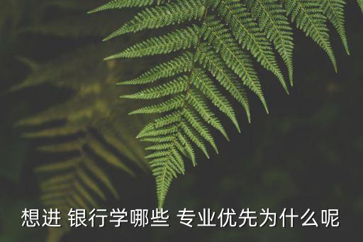 想進 銀行學哪些 專業(yè)優(yōu)先為什么呢