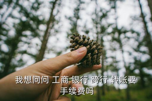 我想問(wèn)問(wèn) 工商 銀行 跨行 轉(zhuǎn)賬要 手續(xù)費(fèi)嗎