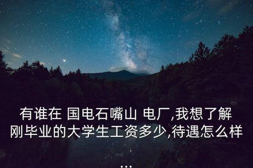 有誰在 國電石嘴山 電廠,我想了解剛畢業(yè)的大學(xué)生工資多少,待遇怎么樣...