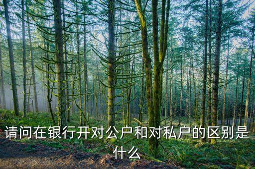 請(qǐng)問在銀行開對(duì)公戶和對(duì)私戶的區(qū)別是什么