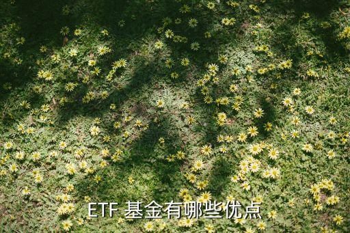 ETF 基金有哪些優(yōu)點(diǎn)