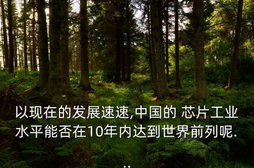 以現(xiàn)在的發(fā)展速速,中國的 芯片工業(yè)水平能否在10年內(nèi)達(dá)到世界前列呢...