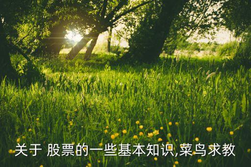 關(guān)于 股票的一些基本知識(shí),菜鳥求教