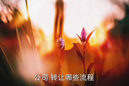 公司 轉(zhuǎn)讓哪些流程