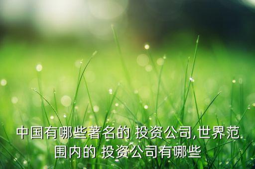 中國有哪些著名的 投資公司,世界范圍內的 投資公司有哪些