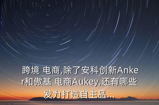  跨境 電商,除了安科創(chuàng)新Anker和傲基 電商Aukey,還有哪些發(fā)力打造自主品...