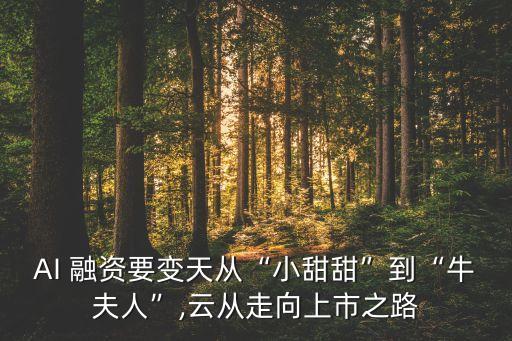 北京美智醫(yī)療融資,北京智行者一共融資多少