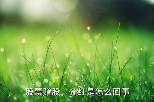  股票贈(zèng)股、分紅是怎么回事