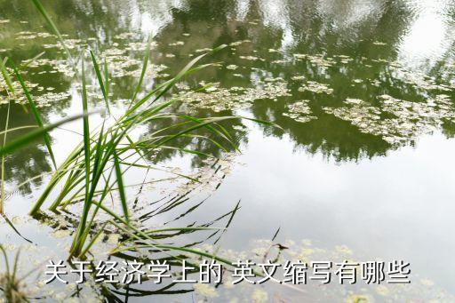 控股公司英文簡(jiǎn)寫(xiě),投資控股公司英文