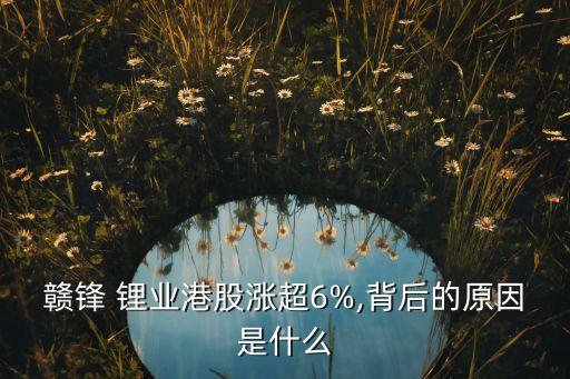 贛鋒 鋰業(yè)港股漲超6%,背后的原因是什么