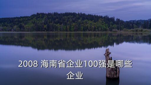 2008 海南省企業(yè)100強是哪些企業(yè)