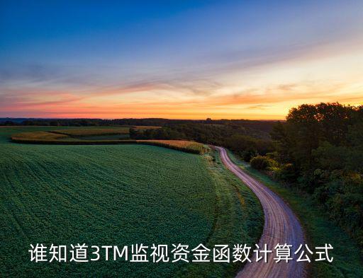 誰知道3TM監(jiān)視資金函數(shù)計算公式