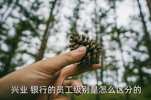  興業(yè) 銀行的員工級別是怎么區(qū)分的