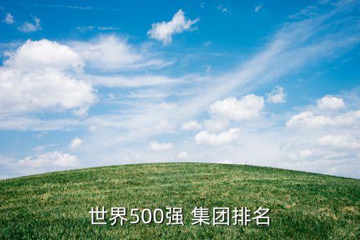 世界500強 集團排名