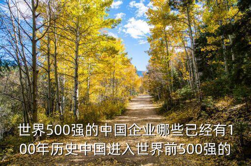 世界500強的中國企業(yè)哪些已經有100年歷史中國進入世界前500強的