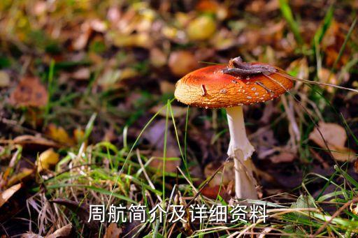 周航簡介及詳細(xì)資料